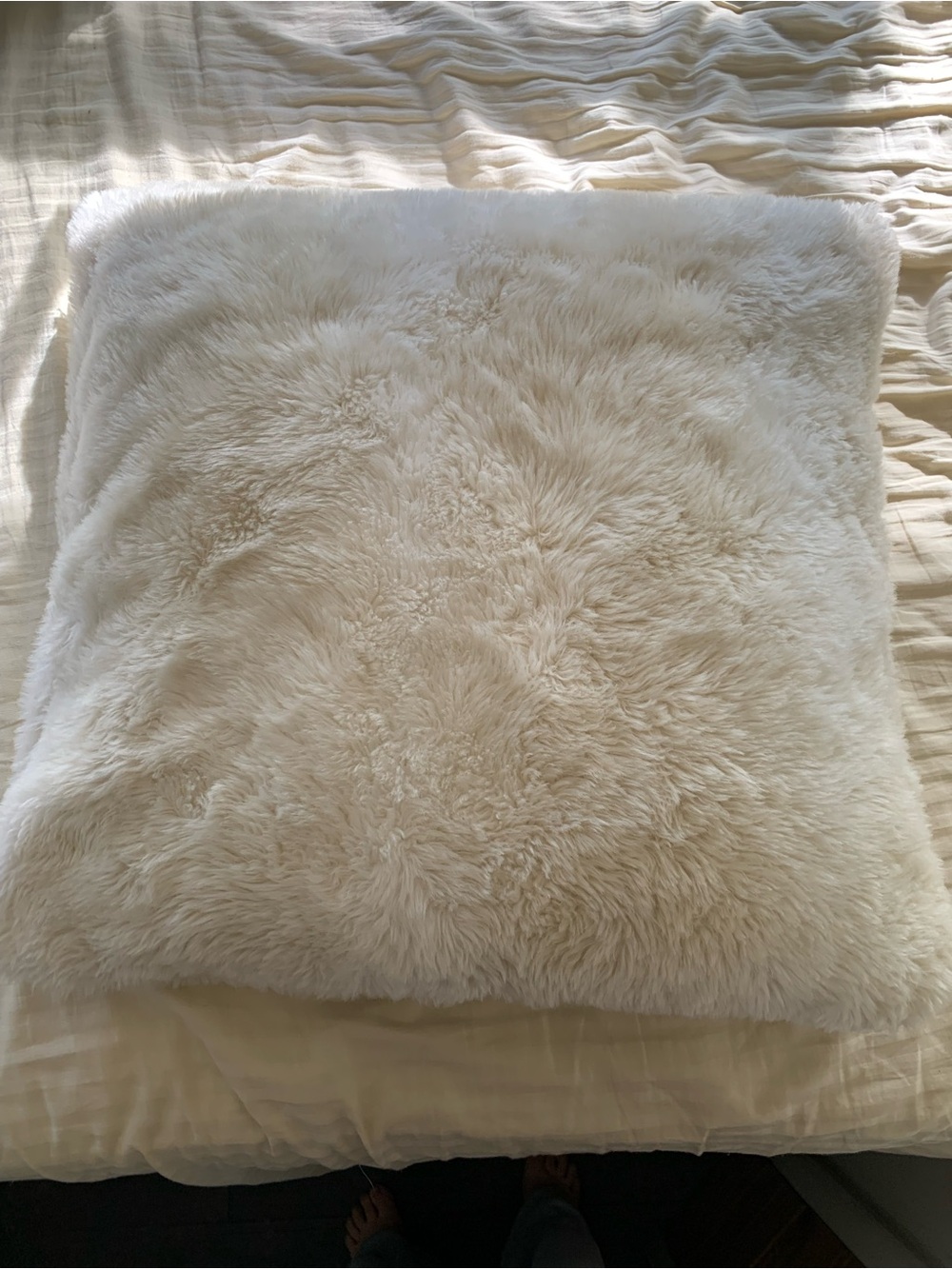 Restoration Hardware Faux Fur Pillow Cover